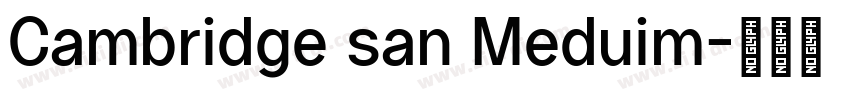 Cambridge san Meduim字体转换